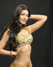 Sexy Actress Shruti Haasan Photos