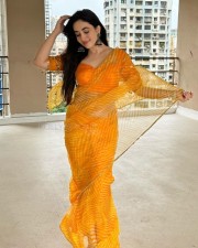 Sexy Aditi Budhathoki in a Transparent Yellow Striped Chiffon Saree Photos 01