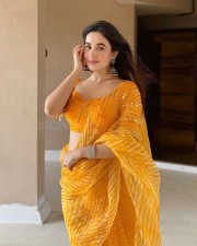 Sexy Aditi Budhathoki in a Transparent Yellow Striped Chiffon Saree Photos 02