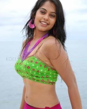 Sexy Bindhu Madhavi Pictures