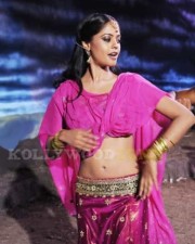 Sexy Bindu Madhavi Pictures