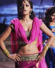 Sexy Bindu Madhavi Pictures