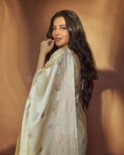 Southern Diva Shruti Haasan in a Cream Silk Banarasi Saree Photos 04