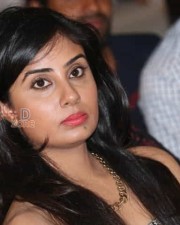 Telugu Actress Bhanu Sri Mehra Pictures