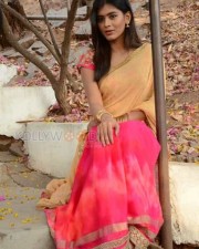 Telugu Actress Hebah Patel Saree Pictures