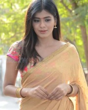 Telugu Actress Hebah Patel Saree Pictures