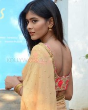 Telugu Actress Hebah Patel Saree Pictures