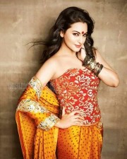 Actress Sonakshi Sinha Sexy Photos