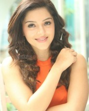 Beautiful Actress Mehrene Kaur Pirzada Photos