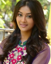 Beautiful Telugu Actress Pooja Jhaveri Pics