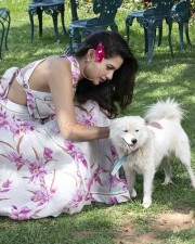 Disco Raja Actress Tanya Hope Photos