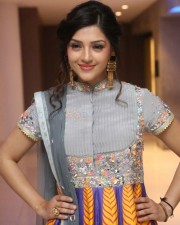 Indian Model Actress Mehreen Pirzada Photos