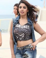 Richa Gangopadhyay Sexy Navel Photos