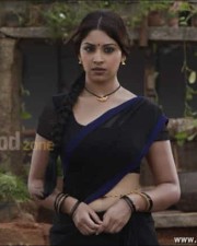 Richa Gangopadhyay Sexy Saree Photos