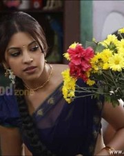 Richa Gangopadhyay Sexy Saree Photos