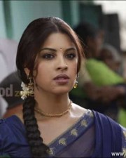 Richa Gangopadhyay Sexy Saree Photos