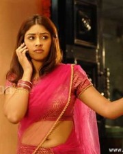 Sexy Richa Gangopadhyay Hot Murattu Singam Photos