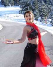 Sexy Richa Gangopadhyay Hot Murattu Singam Photos