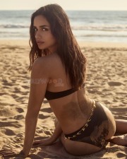 Stunning Manushi Chhillar in a Brown Bikini Pictures 03