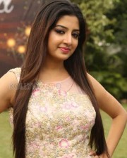 Telugu Actress Poonam Kaur Photos