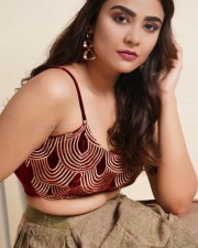 Telugu Movie Savaari Actress Priyanka Sharma Photos