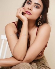 Telugu Movie Savaari Actress Priyanka Sharma Photos