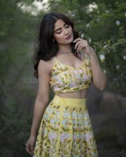 Tollywood Actress Priyanka Sharma Photoshoot Pictures