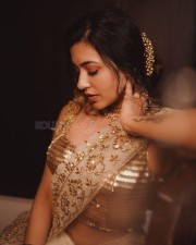 Actress Anju Kurian in a Glittering Traditional Saree Photos 03