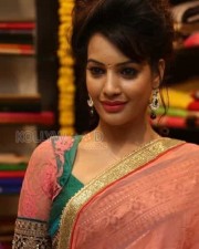 Actress Deeksha Panth At Nakshatra Designer Store Launch Photos