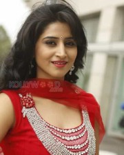 Beautiful Actress Shamili Photoshoot Pictures