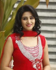 Beautiful Actress Shamili Photoshoot Pictures