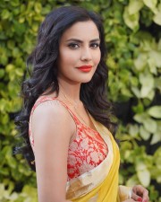 Beautiful Priya Anand in a Yellow Saree with Printed Sleeveless Blouse Photos 02