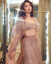 Dazzling Krithi Shetty in an Embroidered Nude Lehenga Photos 02