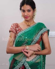 Deeksha Panth In Saree Pictures