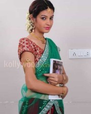 Deeksha Panth In Saree Pictures