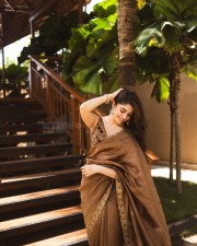 Elegant Krithi Shetty in a Sexy Brown Saree Photos 07