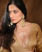 Hot Sanjeeda Sheikh in a Pastel Lehenga with a Golden Full Sleeved Blouse with Deep Cleavage Photos 01