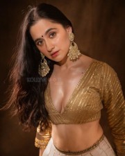 Hot Sanjeeda Sheikh in a Pastel Lehenga with a Golden Full Sleeved Blouse with Deep Cleavage Photos 04