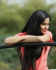 Kombu Movie Heroine Disha Pandey Hot Photos