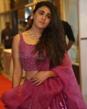 Shalini Pandey At Pre release Event Photos