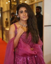 Shalini Pandey At Pre release Event Photos