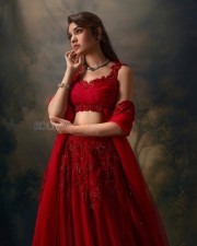 Stunning Krithi Shetty in a Red Lehenga with a Sleeveless Blouse Pictures 03