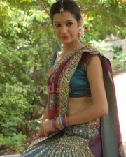 Telugu Actress Diksha Panth Pictures