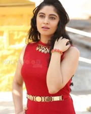 Telugu Actress Zahida Sam Photos