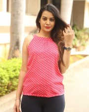 Telugu Beautiful Actress Deeksha Panth Photos