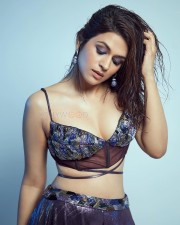 Beautiful Actress Shraddha Das in a Purple Lehenga Set Pictures 03