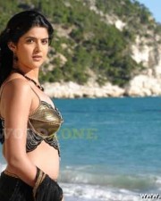 Deeksha Seth In Wanted Telugu Movie Stills