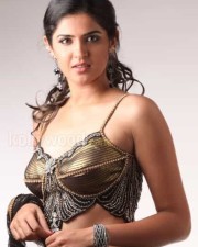 Deeksha Seth Latest Photoshoot Gallery