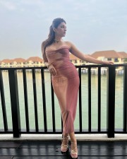 Sexy Shraddha Das in a Satin Strapless Long Dress Photos 01