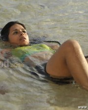 Shradha Das Spicy Photos